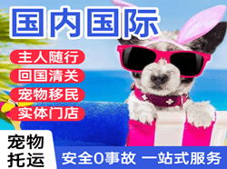 尧都航空物流国际宠物托运 【国